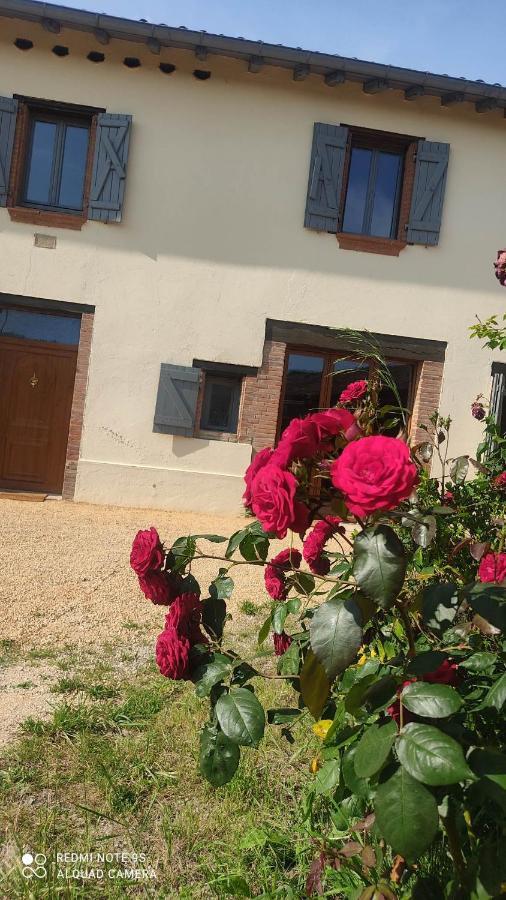 La Salvetat-Belmontet Ferme Du Bois Du Pougetヴィラ エクステリア 写真