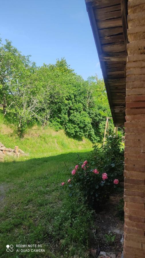 La Salvetat-Belmontet Ferme Du Bois Du Pougetヴィラ エクステリア 写真